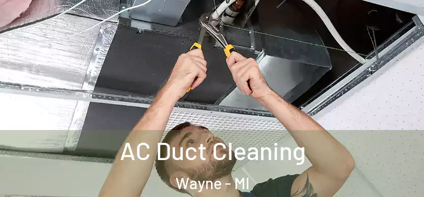  AC Duct Cleaning Wayne - MI
