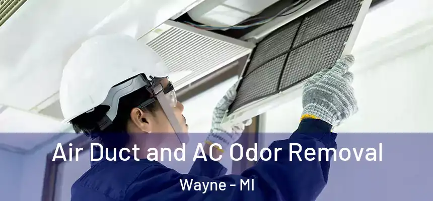 Air Duct and AC Odor Removal Wayne - MI