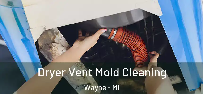  Dryer Vent Mold Cleaning Wayne - MI