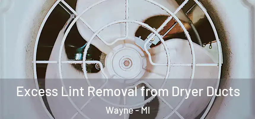  Excess Lint Removal from Dryer Ducts Wayne - MI