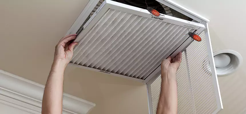 Preventive Cockroach-Proofing for Ducts in Wayne