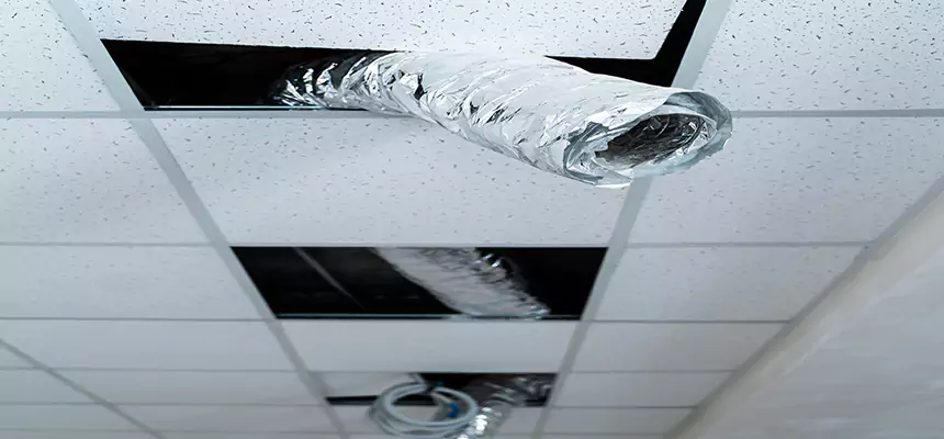 Our Air Duct Pet Hair Removal Services in Wayne, MI