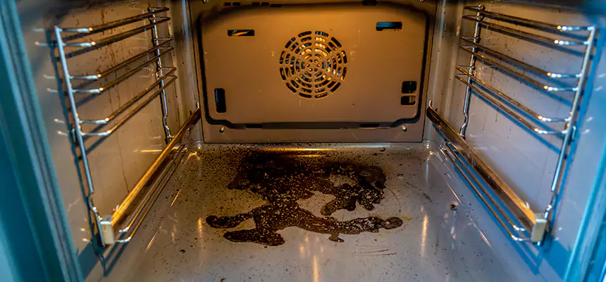 Our Dryer Vent Mold Cleaning Services in Wayne, MI