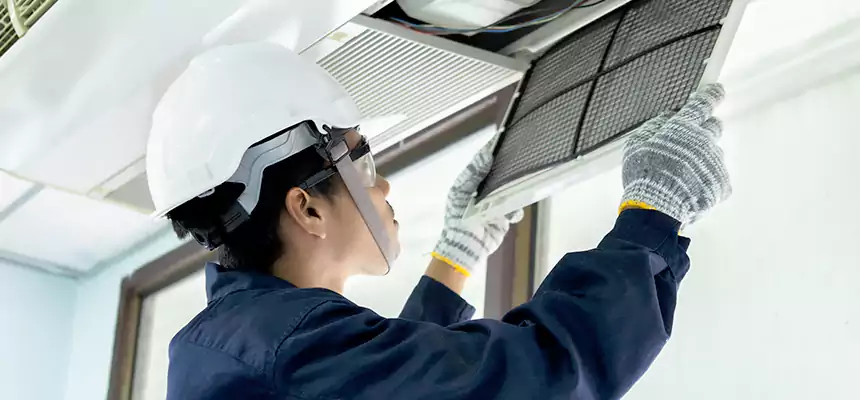 Our Mold & Mildew Removal from Air Ducts Services in Wayne, MI