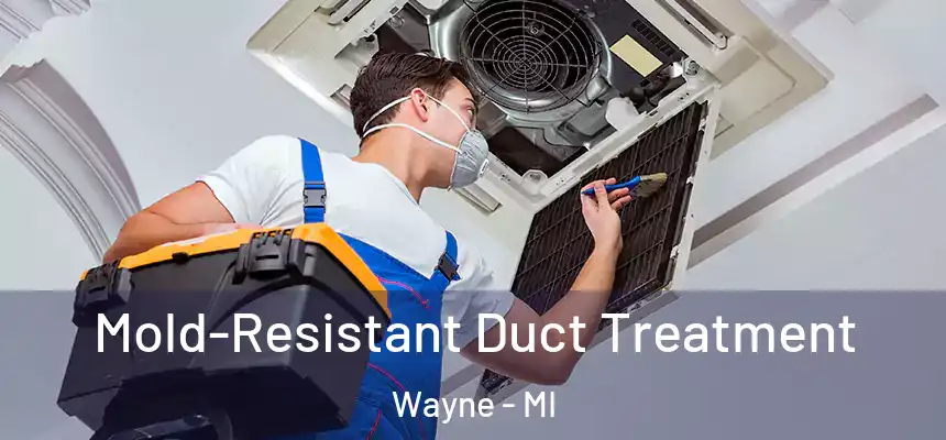  Mold-Resistant Duct Treatment Wayne - MI