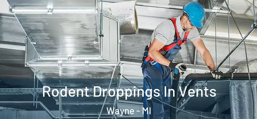  Rodent Droppings In Vents Wayne - MI