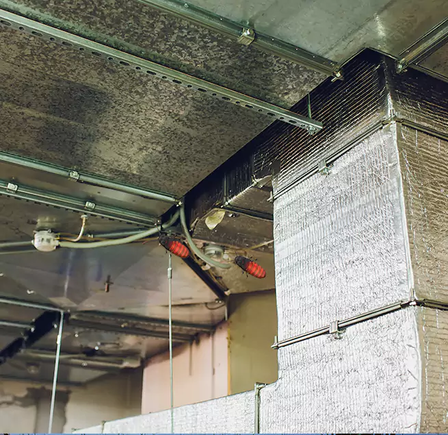 Why Homeowners & Businesses Trust Us in Wayne, MI?