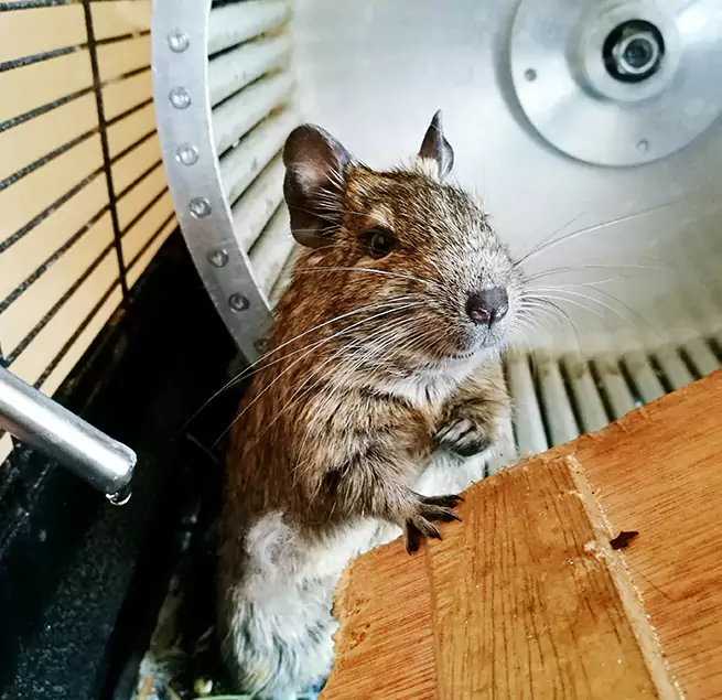 Why Homeowners & Businesses Trust Us Wayne, MI?