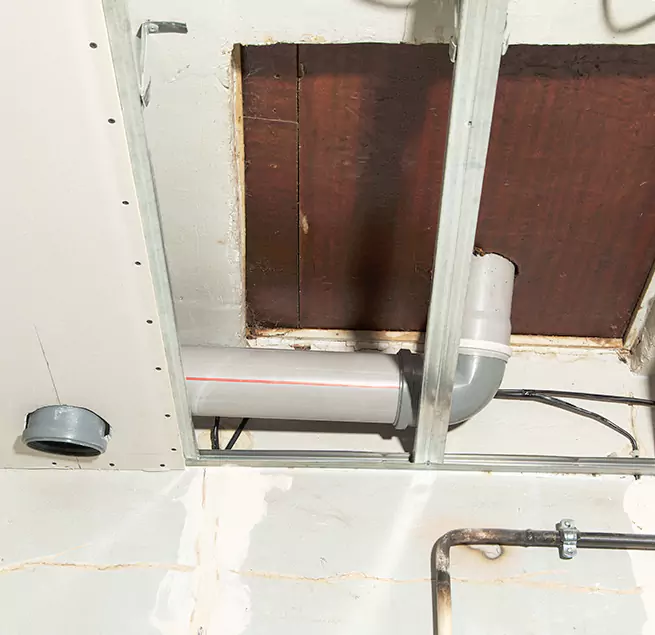 Why Homeowners & Businesses Trust Us in Wayne, MI?