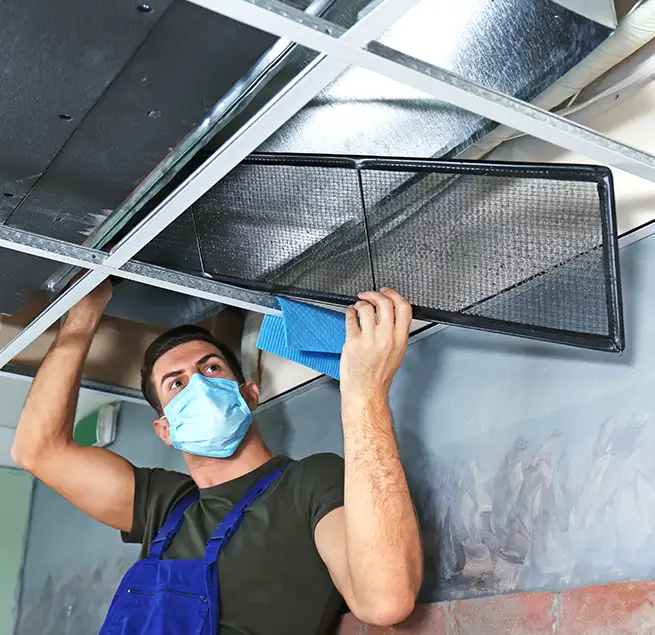 Why Homeowners & Businesses Trust Us in Wayne, MI?